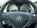 2010 Ionized Bronze Metallic Acura ZDX AWD Technology  photo #26