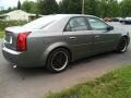 Silver Smoke - CTS Sedan Photo No. 6