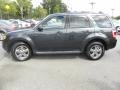 2009 Sterling Grey Metallic Ford Escape Limited V6  photo #2