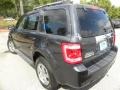 2009 Sterling Grey Metallic Ford Escape Limited V6  photo #15