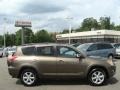 2012 Pyrite Mica Toyota RAV4 V6 Limited 4WD  photo #1