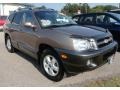 Pewter - Santa Fe GLS Photo No. 3