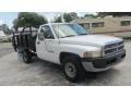 1998 Bright White Dodge Ram 2500 ST Regular Cab Chassis  photo #3