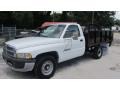 1998 Bright White Dodge Ram 2500 ST Regular Cab Chassis  photo #4