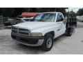 1998 Bright White Dodge Ram 2500 ST Regular Cab Chassis  photo #6