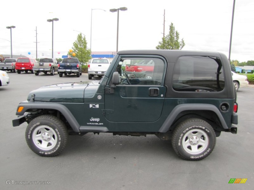 2006 Wrangler X 4x4 - Jeep Green Metallic / Dark Slate Gray photo #4