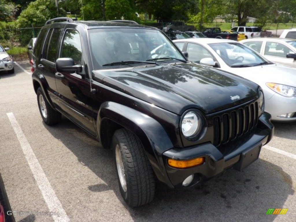 2003 Liberty Limited 4x4 - Black Clearcoat / Taupe photo #1