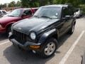 2003 Black Clearcoat Jeep Liberty Limited 4x4  photo #3