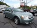 2008 Titanium Green Metallic Ford Taurus SEL #69461548