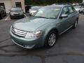 Titanium Green Metallic 2008 Ford Taurus SEL Exterior