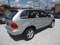 2002 Titanium Silver Metallic BMW X5 4.4i  photo #4