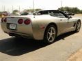 2000 Light Pewter Metallic Chevrolet Corvette Convertible  photo #6