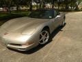 2000 Light Pewter Metallic Chevrolet Corvette Convertible  photo #18