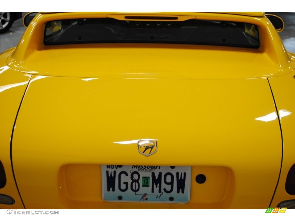 2001 Viper RT-10 - Viper Race Yellow / Black photo #13