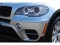 Titanium Silver Metallic - X5 xDrive35i Premium Photo No. 31