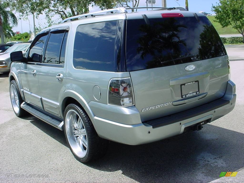 2006 Expedition Limited - Pewter Metallic / Medium Flint Grey photo #7