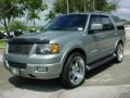 2006 Pewter Metallic Ford Expedition Limited  photo #9