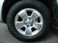 Titanium Metallic - 4Runner SR5 Photo No. 10