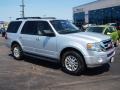 Ingot Silver Metallic - Expedition XLT 4x4 Photo No. 2