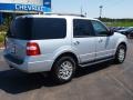 Ingot Silver Metallic - Expedition XLT 4x4 Photo No. 3