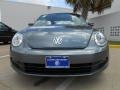 Platinum Gray Metallic - Beetle 2.5L Photo No. 2