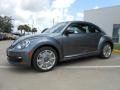 Platinum Gray Metallic - Beetle 2.5L Photo No. 3