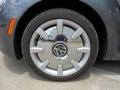 Platinum Gray Metallic - Beetle 2.5L Photo No. 9