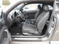 Platinum Gray Metallic - Beetle 2.5L Photo No. 11