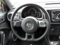 Platinum Gray Metallic - Beetle 2.5L Photo No. 16