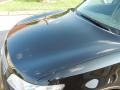 Black Obsidian - FX 35 AWD Photo No. 14