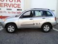 Titanium Metallic - RAV4  Photo No. 4
