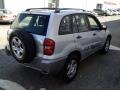 Titanium Metallic - RAV4  Photo No. 9