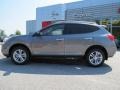 Platinum Graphite - Rogue SV Photo No. 2