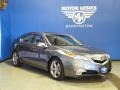 Grigio Gray Metallic 2009 Acura TL 3.7 SH-AWD