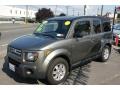 Galaxy Gray Metallic - Element EX AWD Photo No. 1