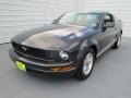 2007 Alloy Metallic Ford Mustang V6 Deluxe Coupe  photo #6