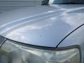 Silver Streak Mica - Tacoma Access Cab 4x4 Photo No. 9