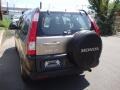 2005 Sahara Sand Metallic Honda CR-V LX 4WD  photo #4