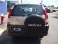 2005 Sahara Sand Metallic Honda CR-V LX 4WD  photo #7