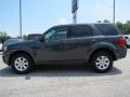  2009 Tribute i Sport Monterey Gray Metallic