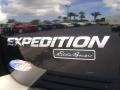 Black Clearcoat - Expedition Eddie Bauer Photo No. 11