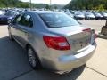 2010 Platinum Silver Metallic Suzuki Kizashi GTS  photo #5