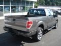 Sterling Gray Metallic - F150 STX SuperCab 4x4 Photo No. 8