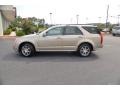 Cashmere Metallic - SRX V8 Photo No. 8