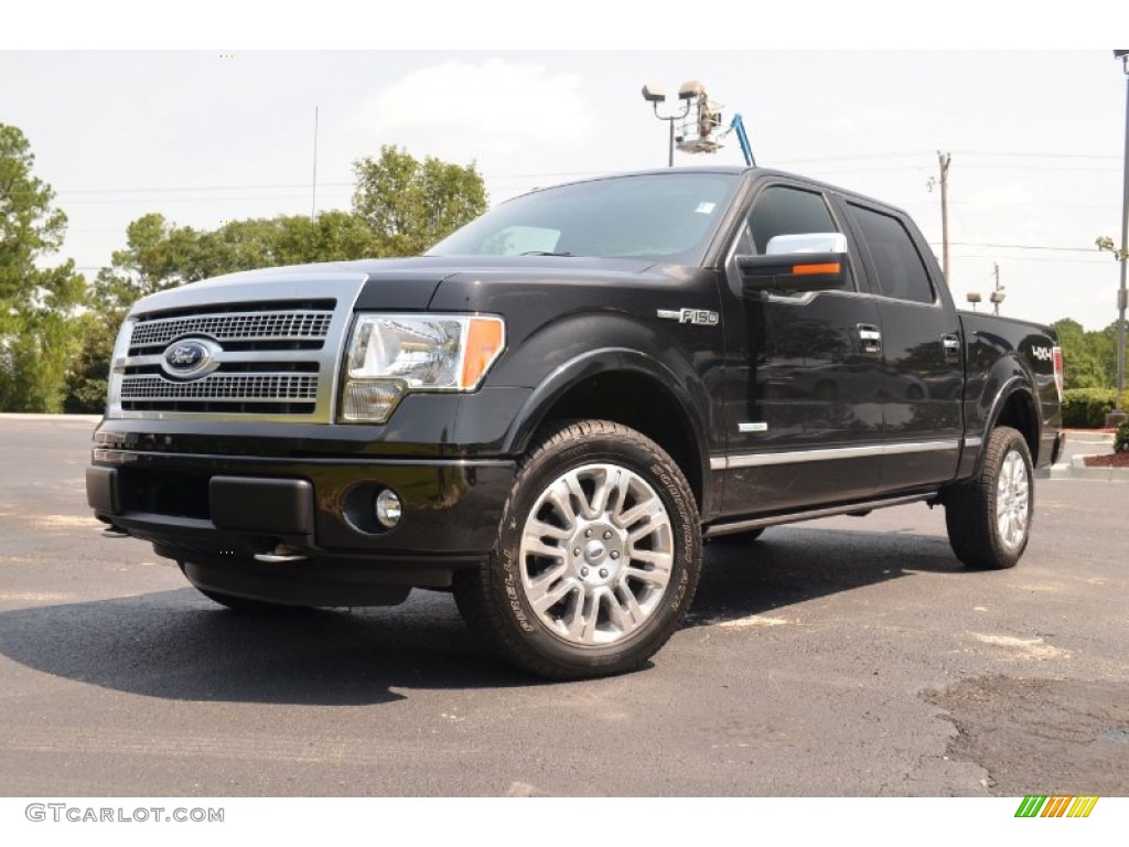 Tuxedo Black Metallic 2012 Ford F150 Platinum SuperCrew 4x4 Exterior Photo #69519882