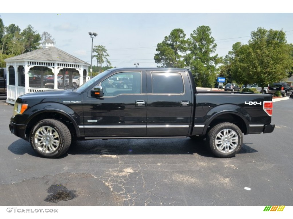 Tuxedo Black Metallic 2012 Ford F150 Platinum SuperCrew 4x4 Exterior Photo #69519927