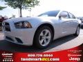 Bright Silver Metallic - Charger SE Photo No. 1