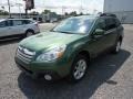 2013 Cypress Green Pearl Subaru Outback 2.5i Premium  photo #3