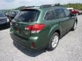 Cypress Green Pearl - Outback 2.5i Premium Photo No. 6