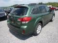 2013 Cypress Green Pearl Subaru Outback 2.5i Premium  photo #6